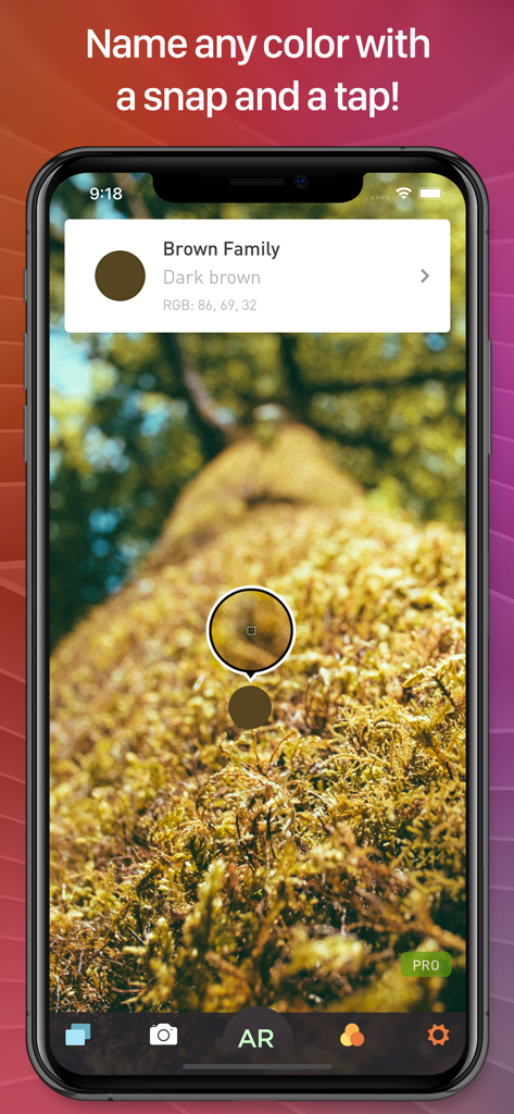 Écran de smartphone affichant l'application Color Name AR Pro identifiant une couleur brun foncé sur un tronc d'arbre grâce à la technologie de réalité augmentée.