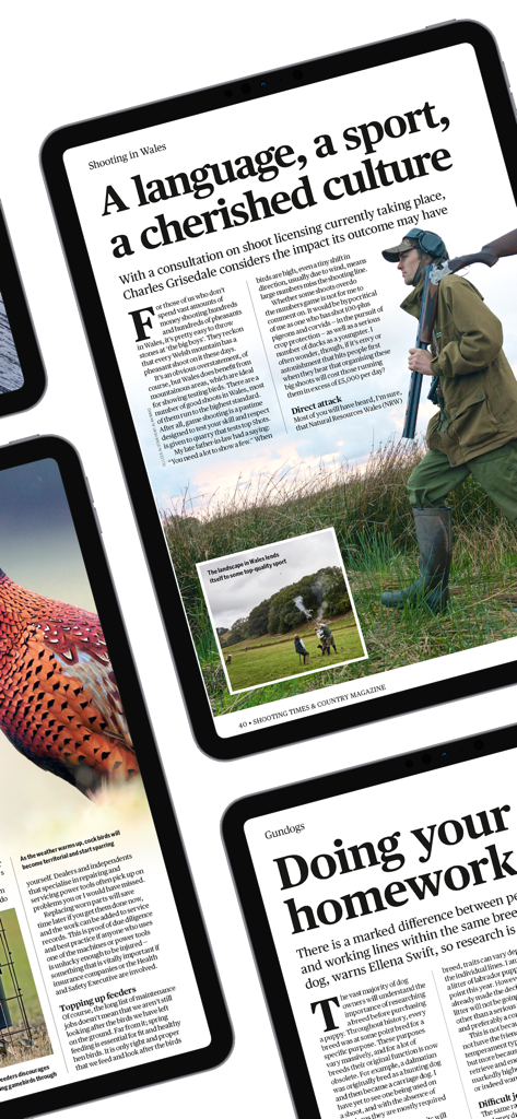 Shooting Times and Country App zeigt Magazinartikel über Jagdsport und Hundetraining.