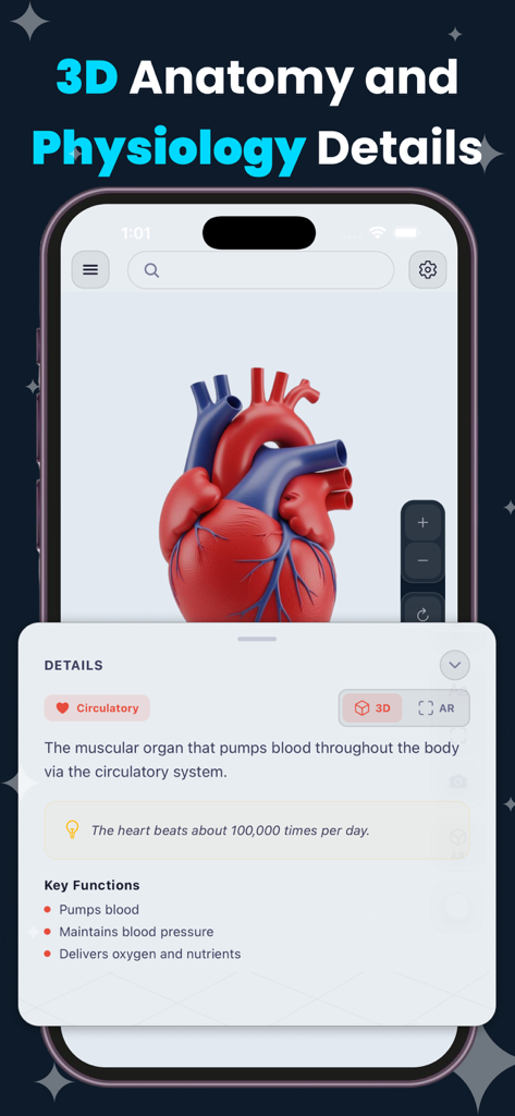 3D-Modell eines menschlichen Herzens mit Details des Kreislaufsystems und wichtigen Funktionen auf einer mobilen App-Oberfläche.
