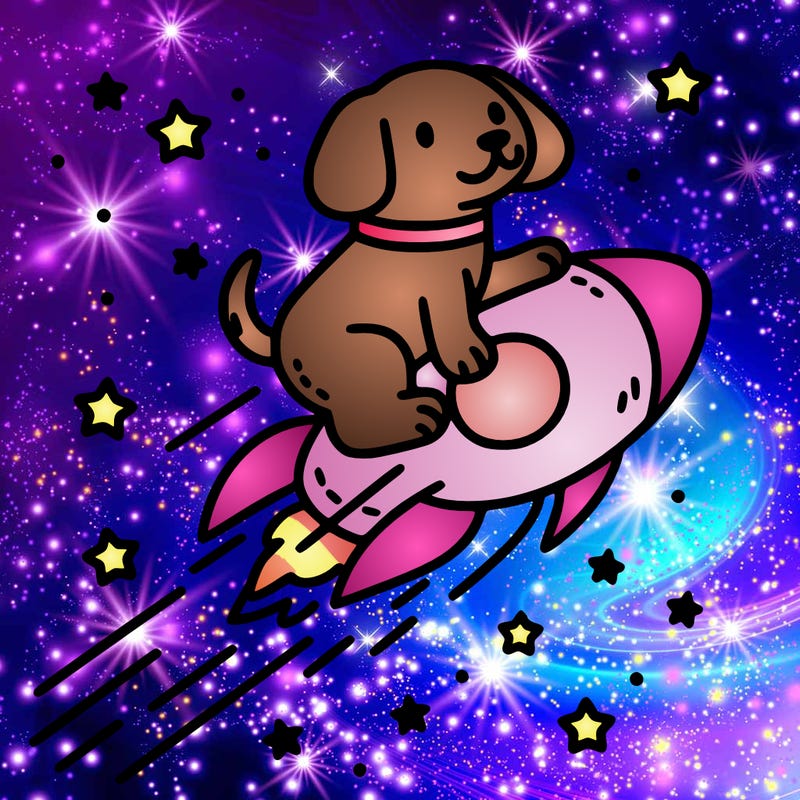thin and crisp lines dog riding a comet through space for coloring book