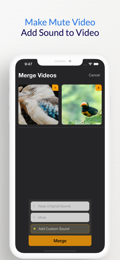 Merge Video Files - Interfaz de la aplicación Unir Archivos de Video mostrando la selección de video y las opciones para agregar sonido personalizado o silenciar el audio.
