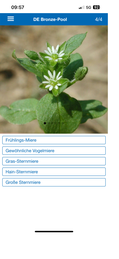 A multiple choice botanical identification quiz in the Feldbotanik app species trainer.