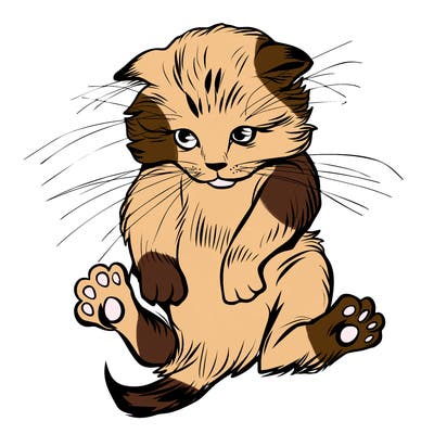 animals_20