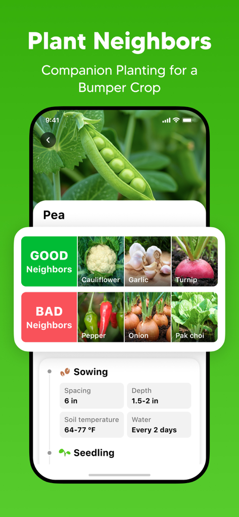 GrowIt: Garden Planner - Captura de pantalla de la aplicación GrowIt que muestra la guía de siembra y plantas compañeras para guisantes.