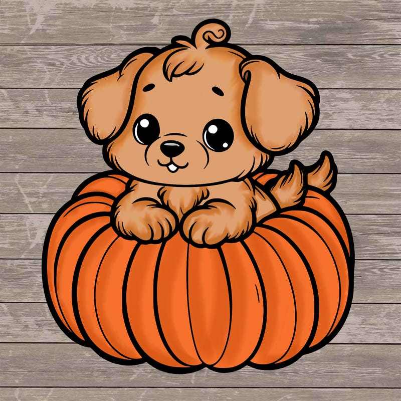 cute little puppy in a pumpkin