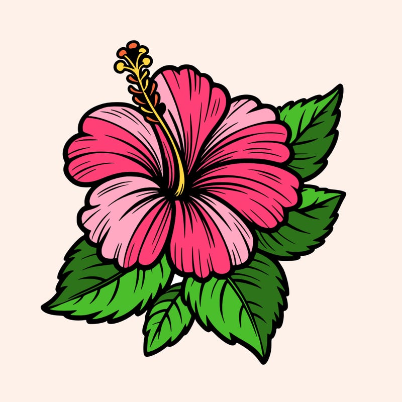 hibiscus flower
