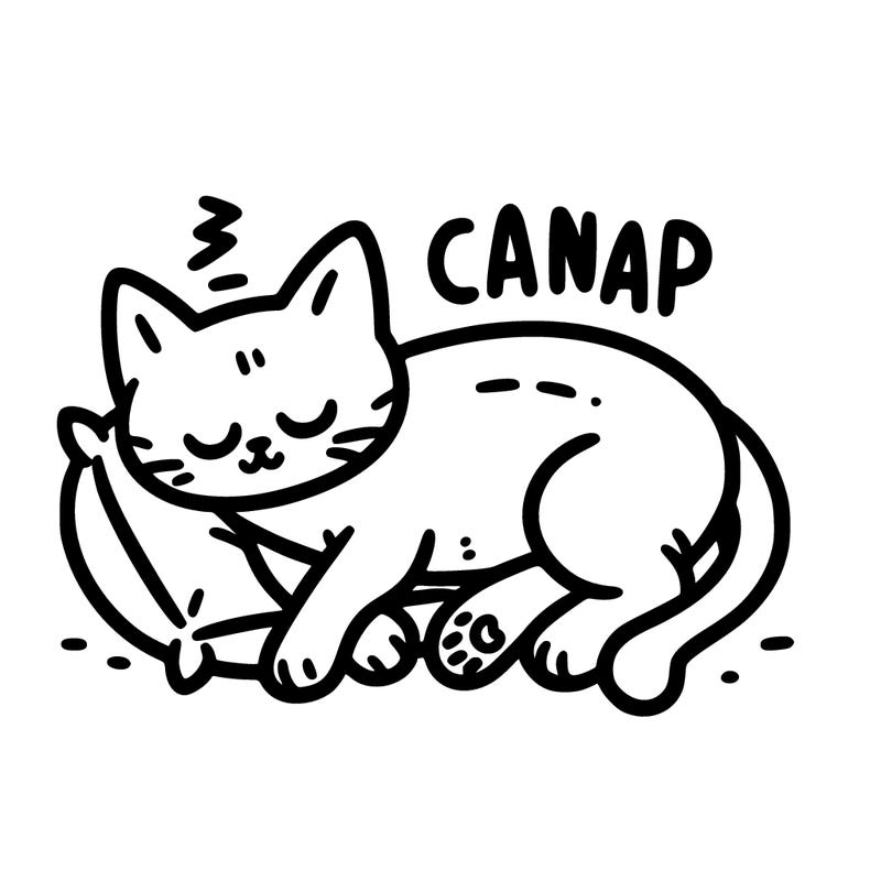 catnap