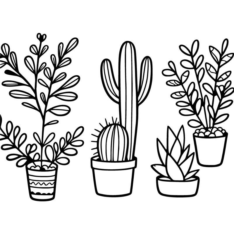 plants