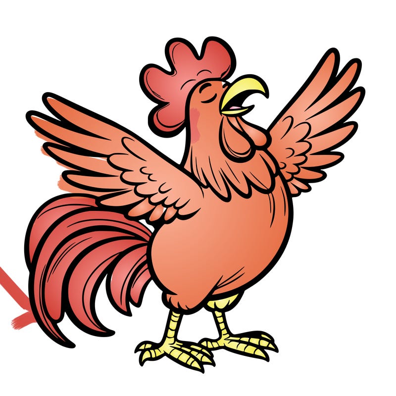 rooster flapping its wings