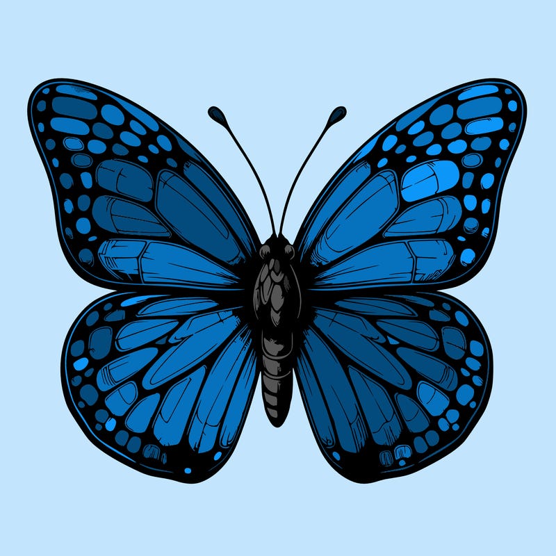 butter fly realistic