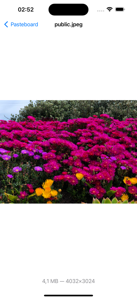 Pasteboard Viewer - Pasteboard Viewer interface displaying a preview of a copied JPEG image with technical metadata