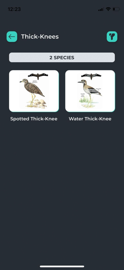 Newman’s Birds of Africa - Newmans Birds of Africaアプリの Thick-Knee 種の鳥の識別画面。