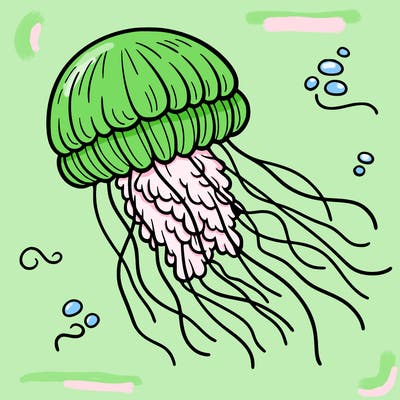jellyfish