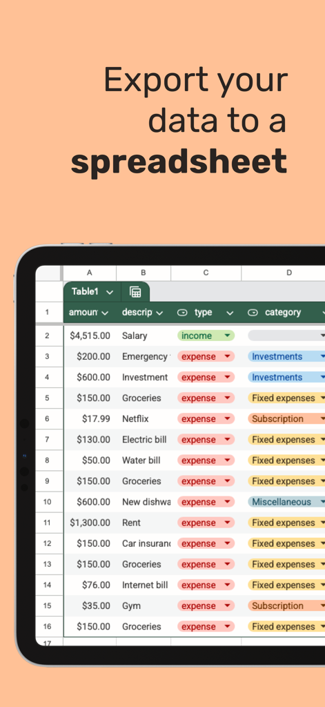 Spending Tracker – Bux - A tablet screen showing financial data exported to a spreadsheet with columns for amount description type and category