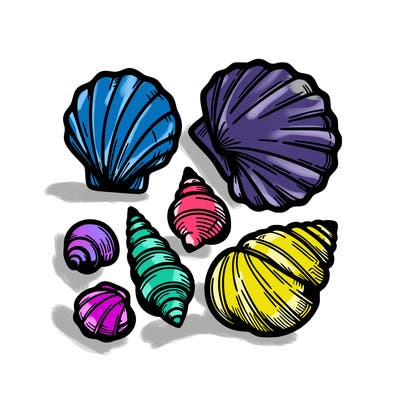 shells