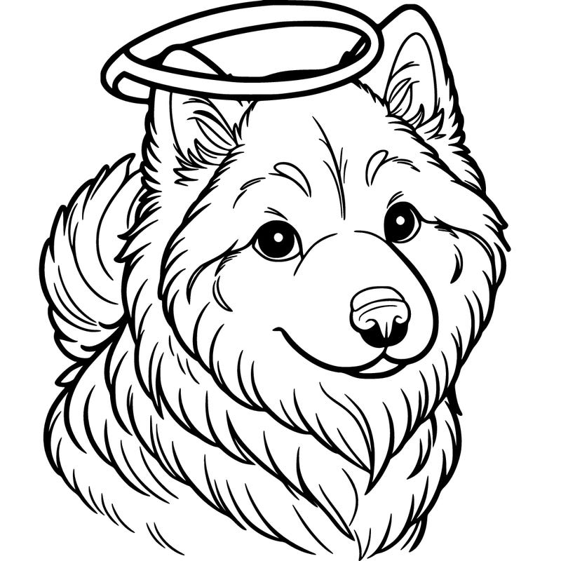 northern inuit dog with halo