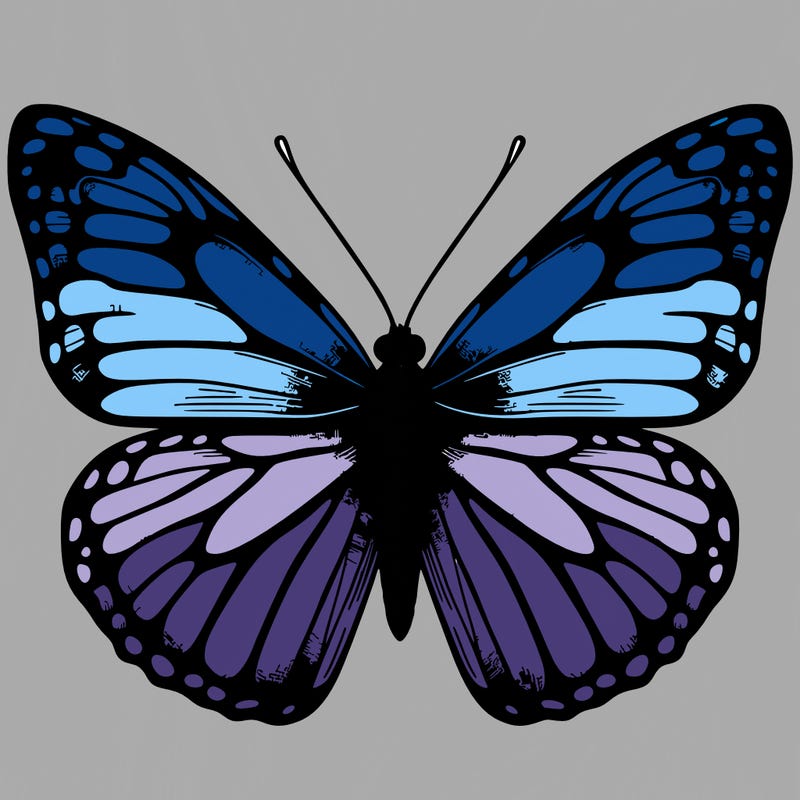 realistic butterfly