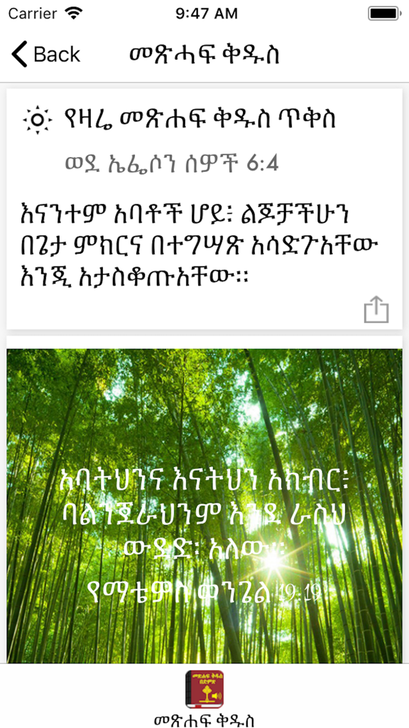 Daily scripture verse in Amharic on a mobile app screen with a nature background image.