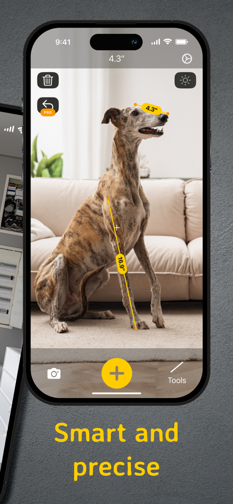 AR ruler app interface measuring a dog's leg and head height in a living room