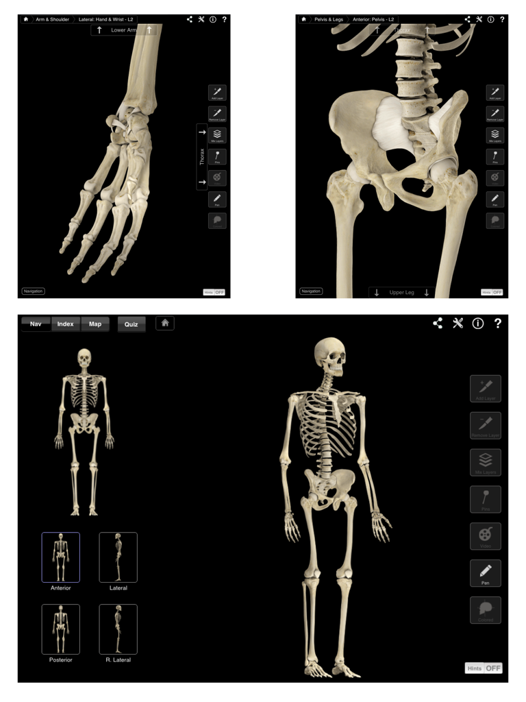 Three screenshots of the Skeleton System Pro III app showing detailed 3D anatomical models of the hand pelvis and full human skeleton with professional navigation controls