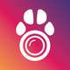 PetCam App - Dog Camera App
