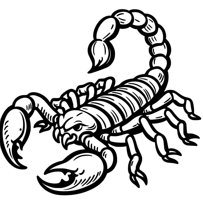 scorpion