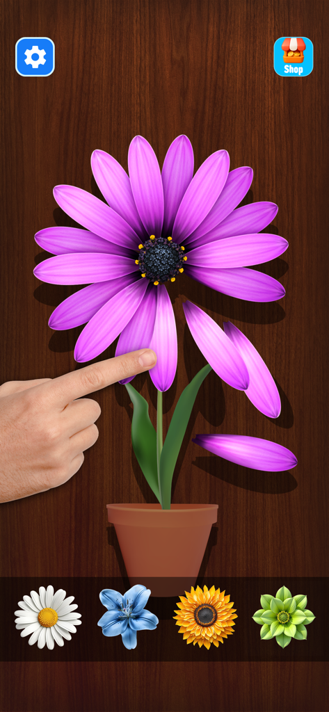 Uma flor roxa com pétalas sendo arrancadas em um jogo relaxante de alívio do estresse
