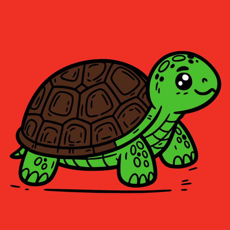 turtle