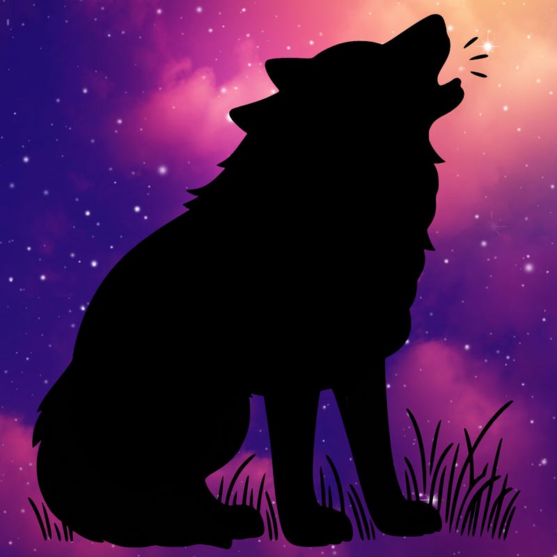 wolf howling