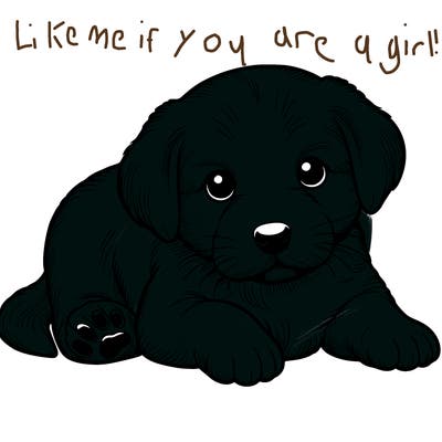 a cute realistic puppy