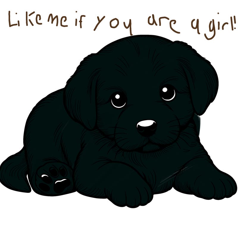 a cute realistic puppy