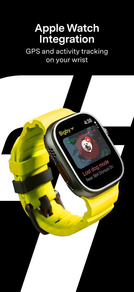 Interfaccia Apple Watch che mostra il tracker GPS per cani Fi e la modalità cane smarrito