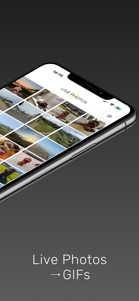 Live GIF - Captura de tela do aplicativo Live GIF mostrando uma galeria de fotos e o texto Fotos Vivas para GIFs