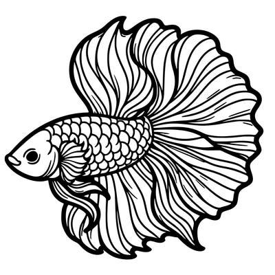 betta fish
