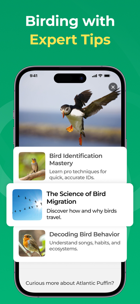 BirdScope app screenshot showing expert tips for bird identification, migration, and behavior.