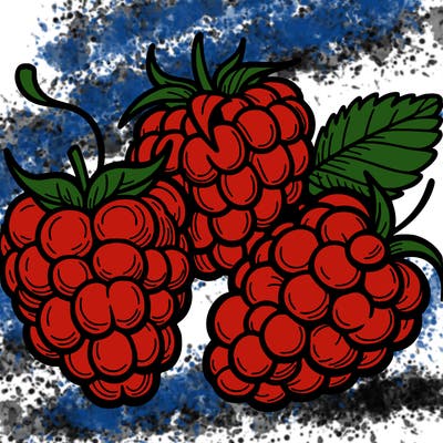 raspberries