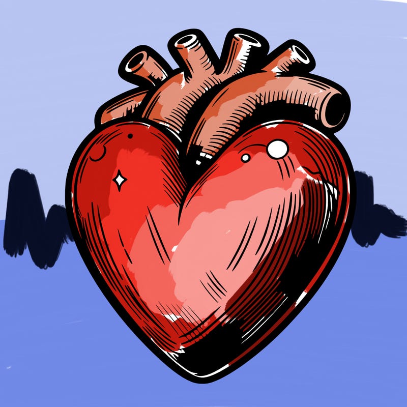 realistic heart