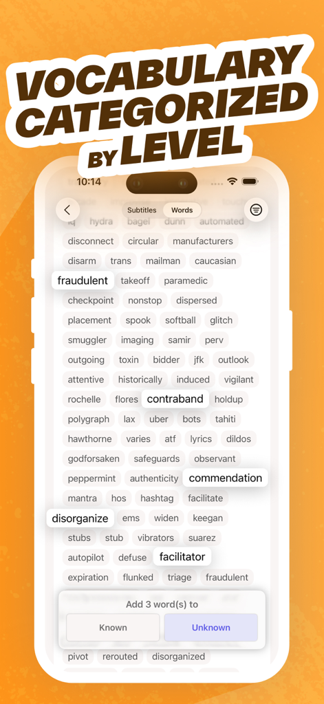 Screenshot of the Wordy app interface displaying vocabulary words categorized by difficulty level for language learning