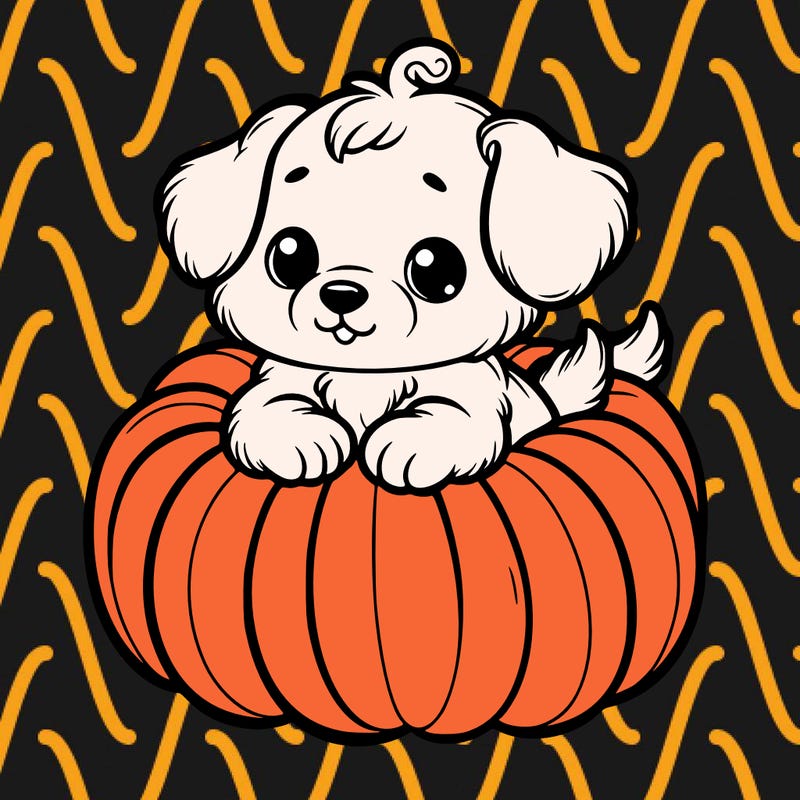 cute little puppy in a pumpkin