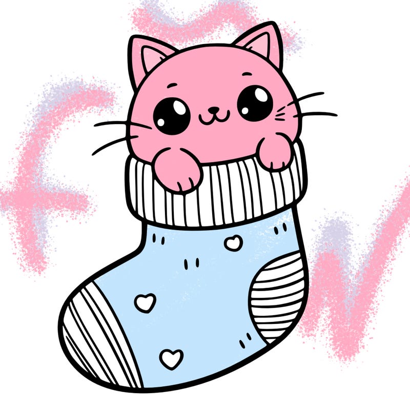 cute cat in a sock