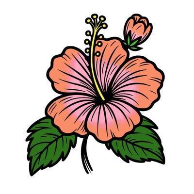 hibiscus flower
