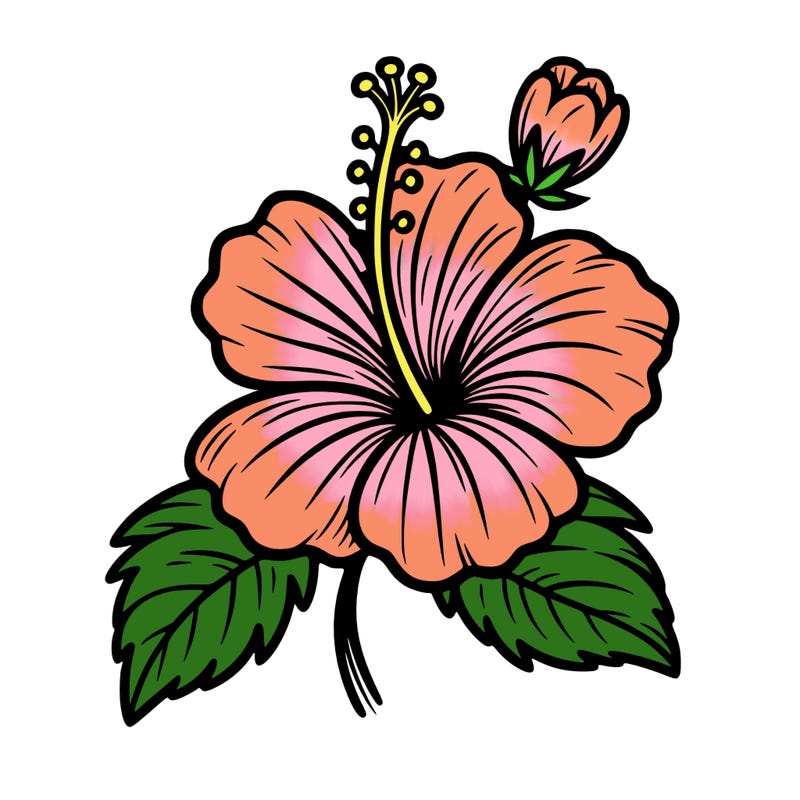 hibiscus flower
