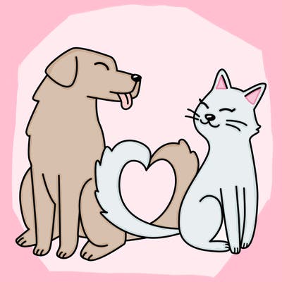 animals_22