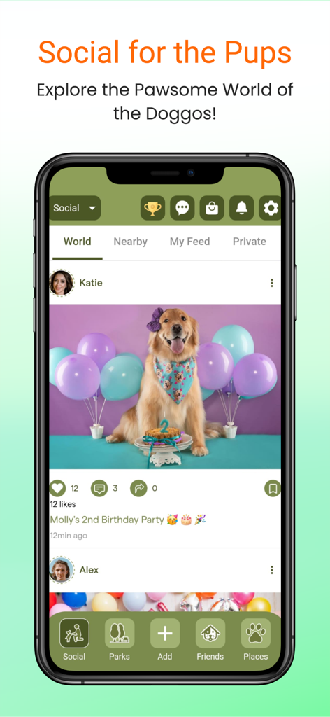 Wag Buddy - Bring Fido Along! - Wag Buddy app social feed featuring a golden retriever birthday post