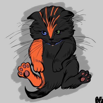 animals_20