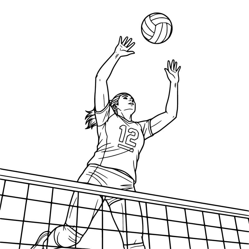 number 12 middle hitter and blocker volleyball player