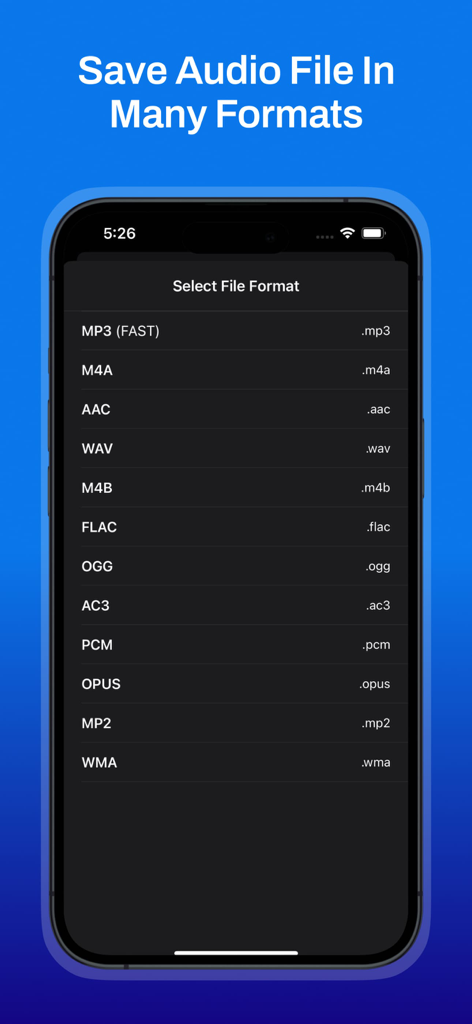 Interface showing multiple audio file format options for saving recordings including MP3 WAV and FLAC