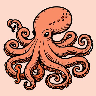 octopus