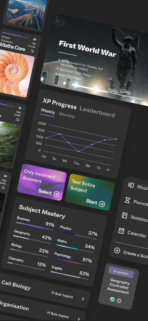 Flyp Academy - Flyp Academy app interface displaying subject mastery and study progress