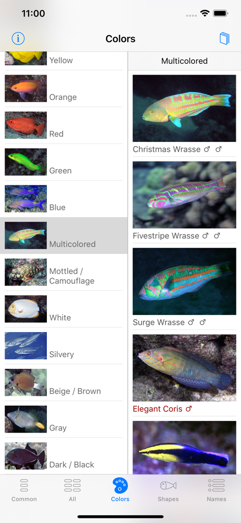 Interfaccia dell'app Snorkel Fish Hawaii che mostra le specie di pesci categorizzate per colore per una facile identificazione